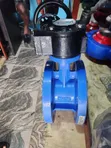 4" x 150 Class Flanged Butterfly Valve - 2