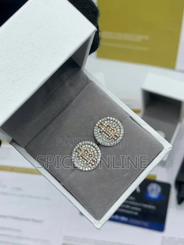 VVS Moissanite Diamond Bitcoin 'Yan kunne - 1