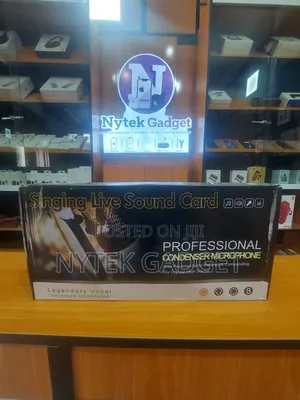 Professional Condenser Microphone with Sound Card & Voice Changer