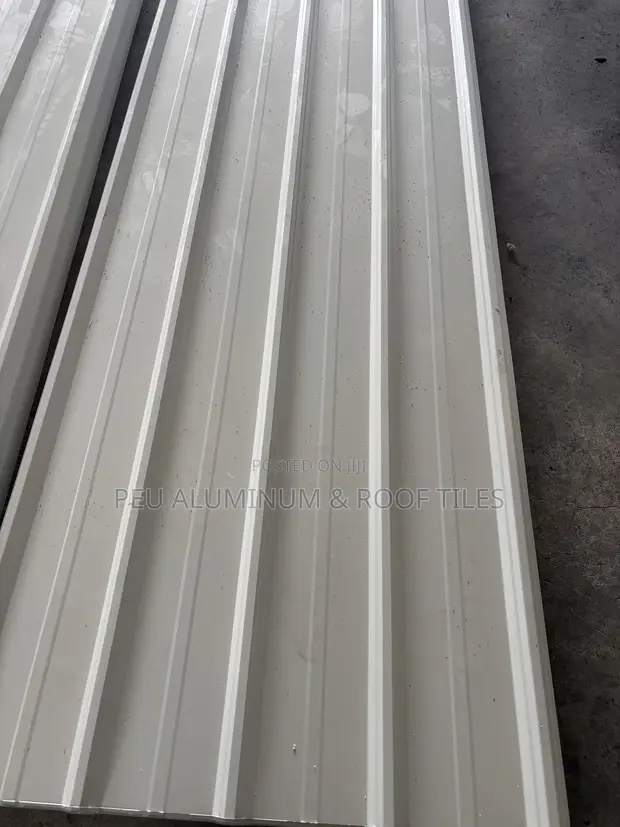 Galvanised Roofing Sheet - 10ft x 20ft - 1