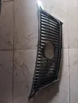 Lexus RX 350 Front Grill (2010 Model) - 1