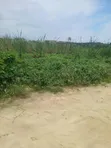 Residential Land for Sale in Olokonla - 2