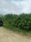 Residential Land for Sale in Olokonla - 5