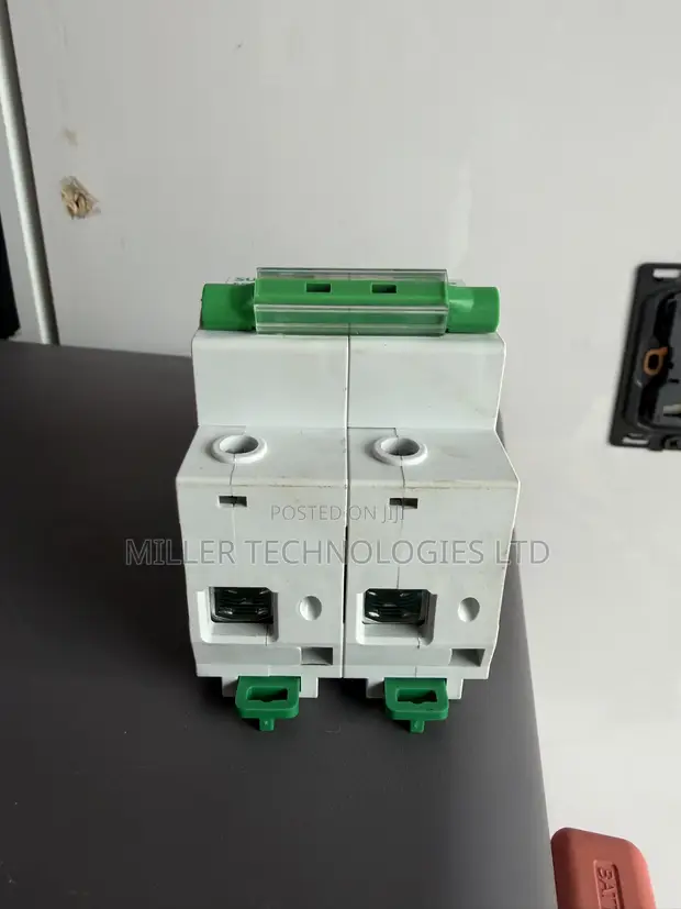 Suntree SCB8-125 100A Double Pole AC Circuit Breaker - 1