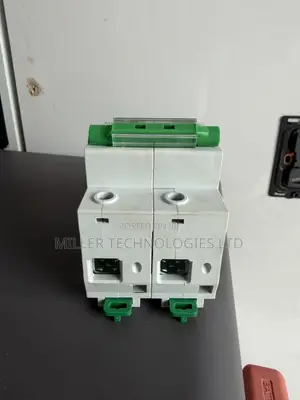 Suntree SCB8-125 100A Double Pole AC Circuit Breaker