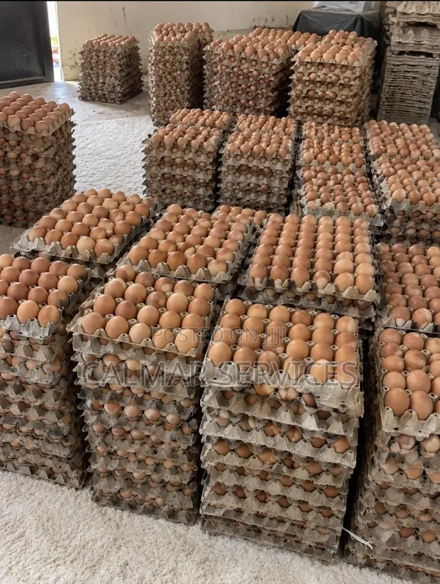 Chicken Eggs - Crates - 1