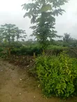 Mixed-use Land for Sale in Igbesa, Ogun State - 2