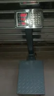 100kg Dijital Platform Taga - 1