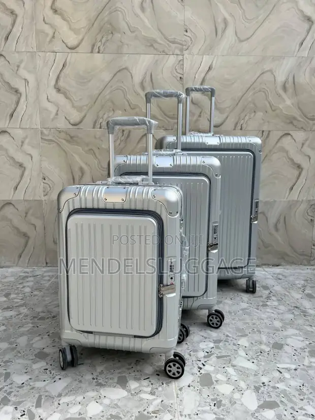 Premium Silver Hard Shell Spinner Luggage - 1