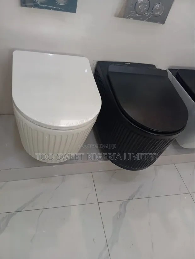 Executive England Water Closet WC (Two-Piece, Dual Flush) - 1