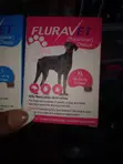 Tick and Flea Tablets for Pets - 4