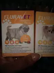 Tick and Flea Tablets for Pets - 5