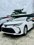 Toyota Corolla LE 2023 - 1