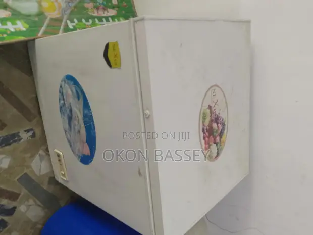 Nexus Deep Freezer 269L - 1