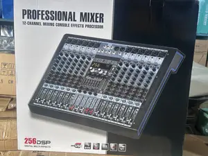 12 Channel Professional Mixing Console with DSP Effects