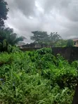 Filin 800sqm Mai Shinge da C of O a Ajah - 3