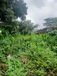 Filin 800sqm Mai Shinge da C of O a Ajah - 5