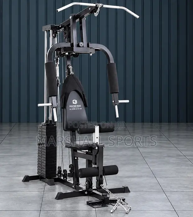 Heavy Duty Core Blade Multi Gym with 100kg Weight (Made in Japan) - 1