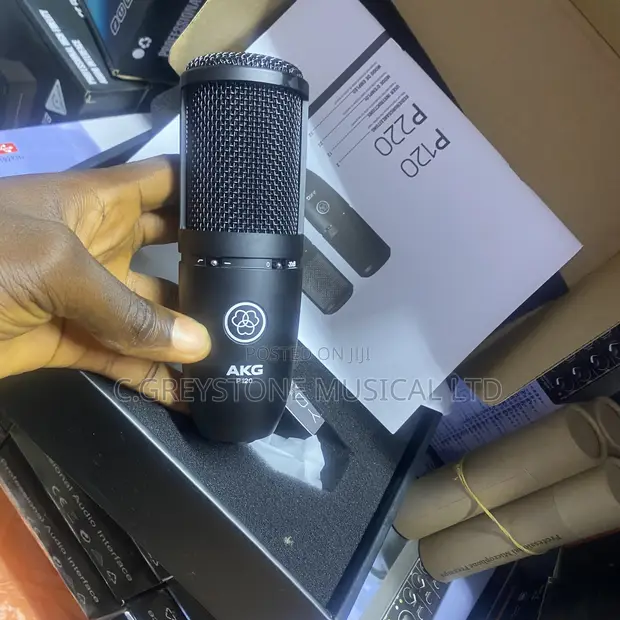 AKG P120 Condenser Microphone - 1