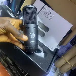 AKG P120 Studio Condenser Microphone