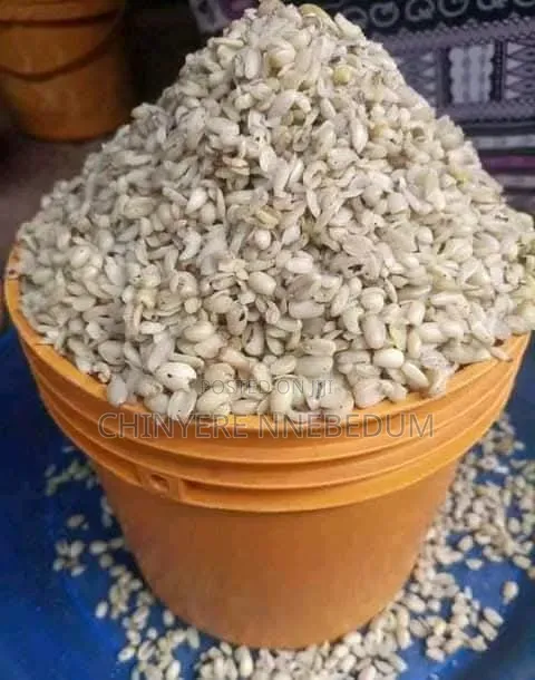 Fresh Ukwa (Breadfruit) Available - 1