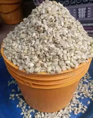 Sabon Ukwa (Breadfruit) Yana Nan