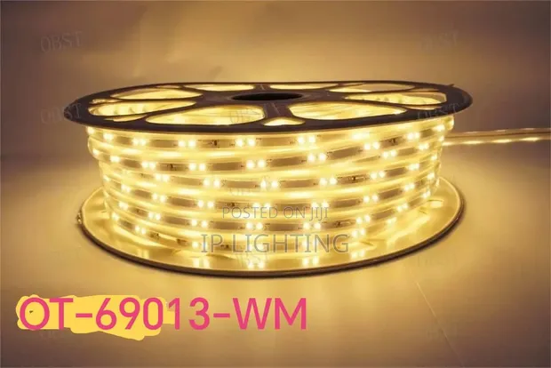 Warm White Rope Light - 1