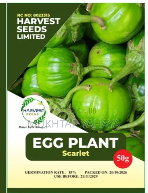 Tsaba na Jajayen Eggplant (1st Choice) - 1