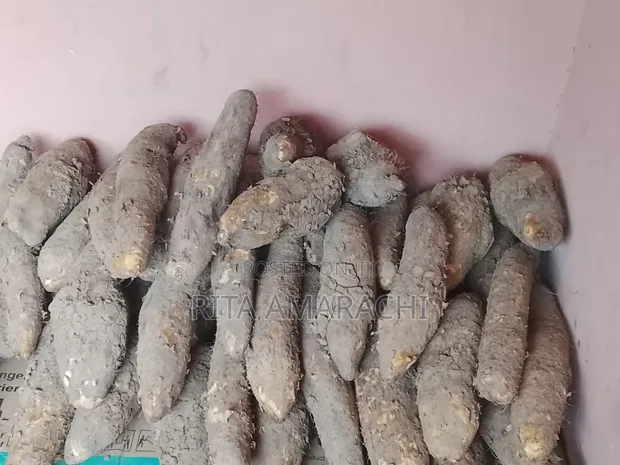 New Yam & Potatoes - 1