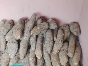 Sabon Yam da Dankali