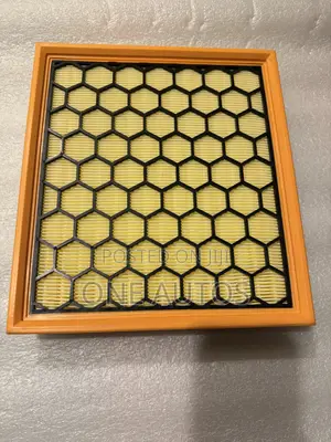 Maxus T60 Engine Air Filter - Genuine Part