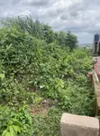 Residential Land for Sale in Olubo Eleweran, Abeokuta - 1