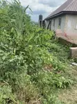 Residential Land for Sale in Olubo Eleweran, Abeokuta - 2