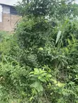 Residential Land for Sale in Olubo Eleweran, Abeokuta - 4