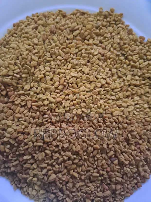 Fenugreek Seeds - Premium Natural - 1