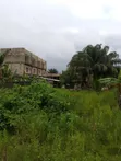 Fenced Plot of Land in Ogunfayo-Awuyaya, 600 sqm - 5