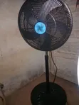ACE Fan Mai Tsaye - Kwana 5 - 2