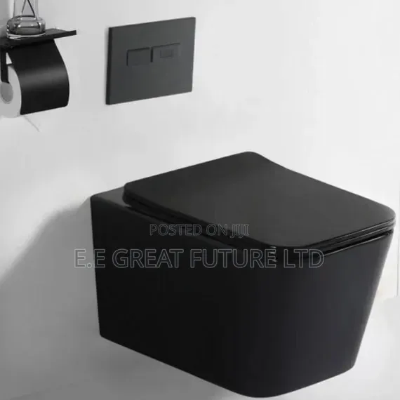 Twyford Conceal WC (Water Closet) - 1