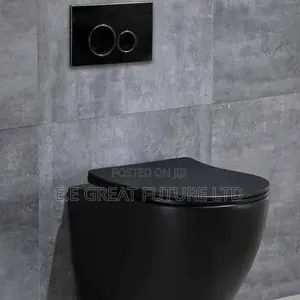Twyford Conceal WC (Bandakin Ruwa)