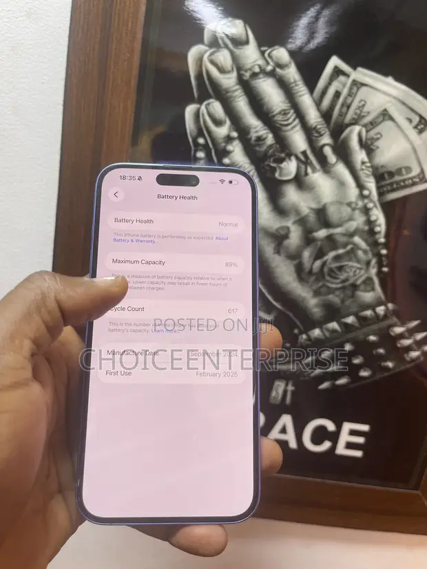 Apple iPhone 16 Plus 256GB Blue - 1