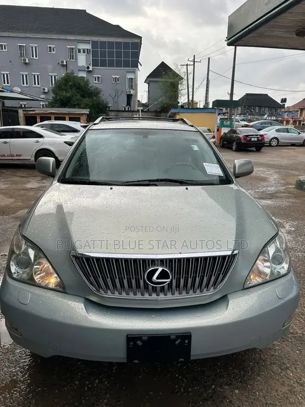 Lexus RX 330 2006 Gray - 1
