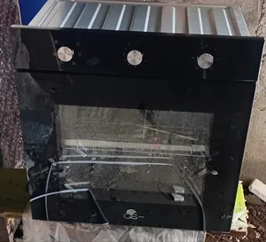 GS Built-in Electric Oven with Chicken Roaster