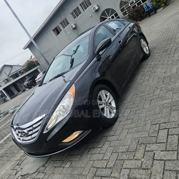 2014 Hyundai Sonata - Black on Black - 1