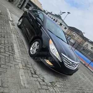 2014 Hyundai Sonata - Black on Black