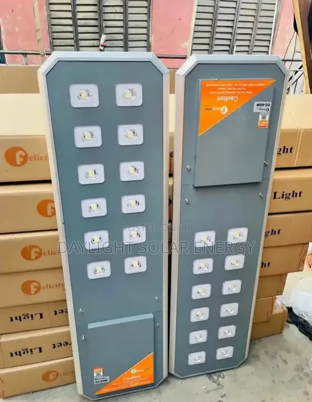 Felicity D2 80W Solar Street Light - 1