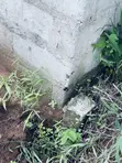 Residential Plot for Sale, Cardinal Layout, Owerri - 5