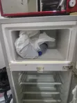 Haier Thermocool Refrigerator - Not Chilling - 3