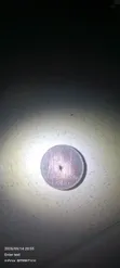 Tsofaffin Kudi na Amurka Lot - 200 guda don masu tattara - 3