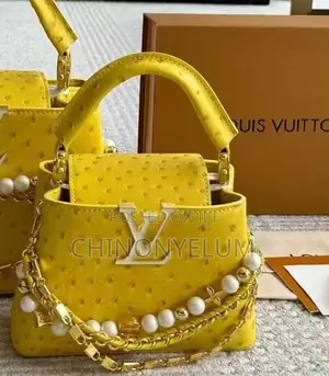 Babban Jaka na Louis Vuitton