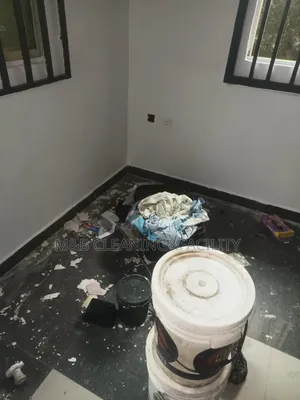 Professional Post Construction Cleaning Services
